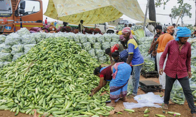 Ooty carrot, chow chow and radish get costlier at Chennais Koyambedu market on Nov 16, 2025 Ooty carrot, chow chow and radish get costlier at Chennais Koyambedu market on Nov 16, 2025