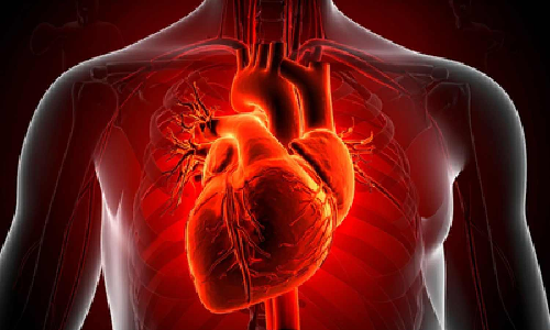 Genes, binge drinking, stress behind surging heart-related deaths in young adults Genes, binge drinking, stress behind surging heart-related deaths in young adults