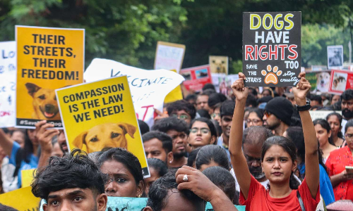 Nationwide campaign urges citizens to write to SC for animal welfare; over 10,000 letters sent