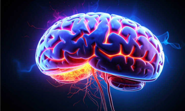 Study explains why loss of smell is associated with Alzheimers disease