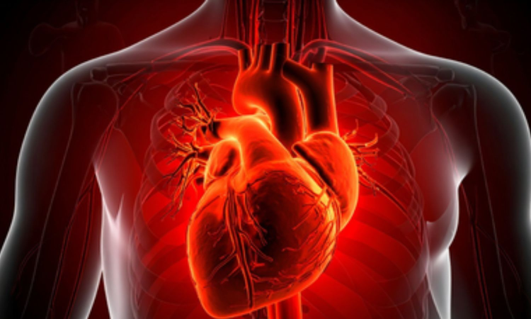 Covid can accelerate ageing in blood vessels by 5 years in women: Study Covid can accelerate ageing in blood vessels by 5 years in women: Study