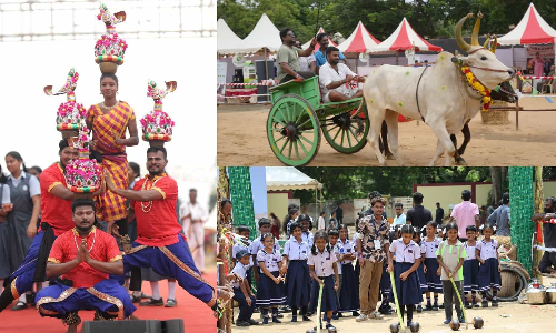 Sempozhil thiruvizha brings village life to Chennai city