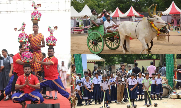 Sempozhil thiruvizha brings village life to Chennai city Sempozhil thiruvizha brings village life to Chennai city