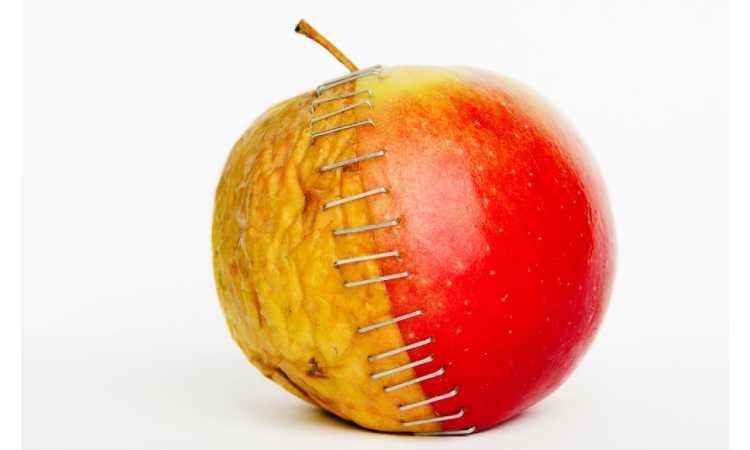 How bad science is becoming big business How bad science is becoming big business