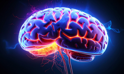 Study shows omega-3 fatty acids may protect women against Alzheimer’s