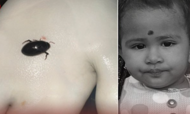 Tiruvallur: Child dies after beetle enters windpipe