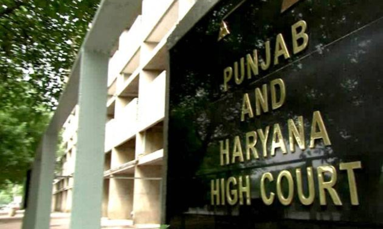 Cow has unique status, its slaughter can have repercussions on peace: Punjab and Haryana HC