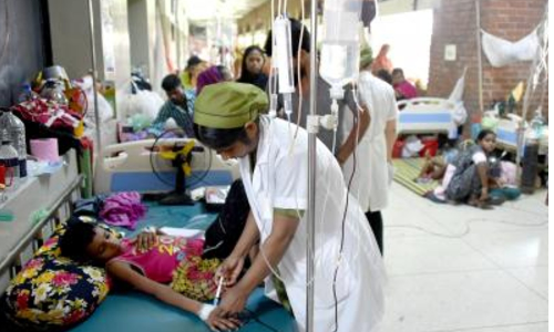 Bangladesh: 432 new dengue cases reported as 2025 count crosses 30,000 mark