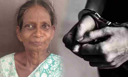 Chennai woman uses chilli powder during burglary bid, arrested