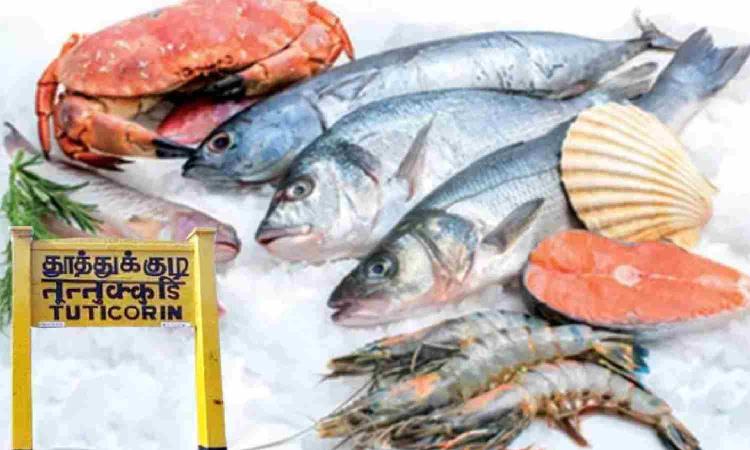50% tax imposition impact: Seafood exports hit hard in Thoothukudi
