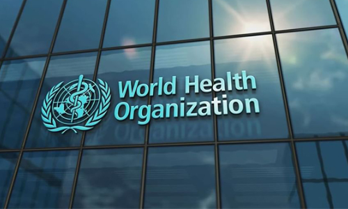 Global cholera situation continues to deteriorate: WHO