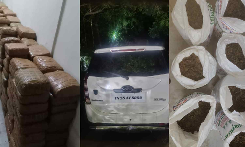NCB seizes 590 kg ganja in TN, arrests six members of narcotics syndicate