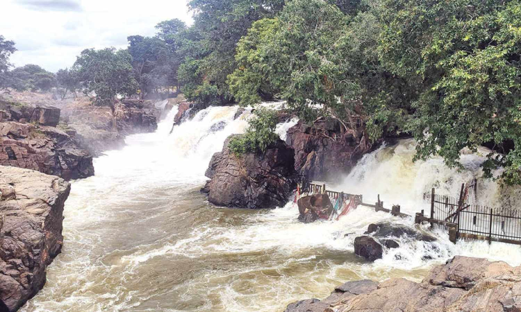 Hogenakkal coracle service resumes as water flow dips