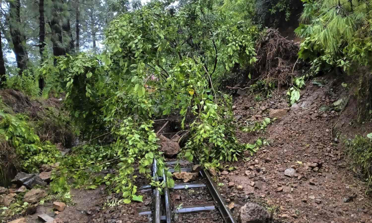 4 die in Shimla in landslides, house collapse; rain red alert for 2 days, 5 national highways shut