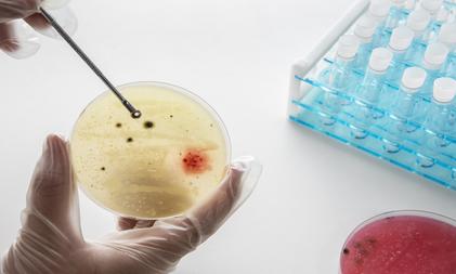 Airborne pathogens behind lung, gut infections 2x more in high-populated regions: Study