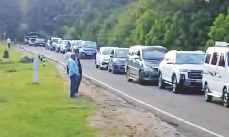 Traffic hit for 3 hrs in Mudumalai as elephant carcass blocks road