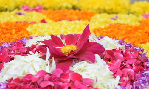 Chennai: Surplus flower supply takes prices down for Onam