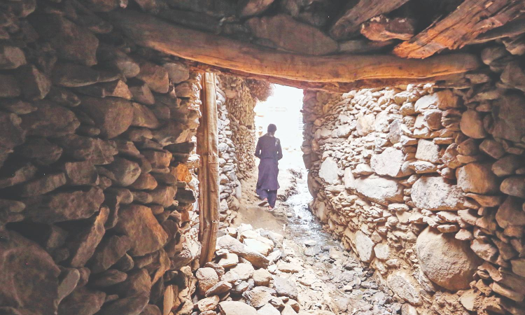 Afghan quake: Male rescuers aided men but not women