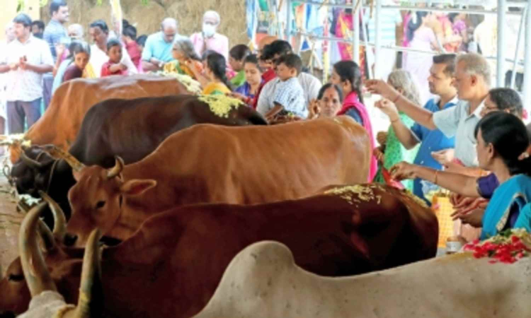 GST revamp to boost cooperative sector, 10 crore dairy farmers: Govt