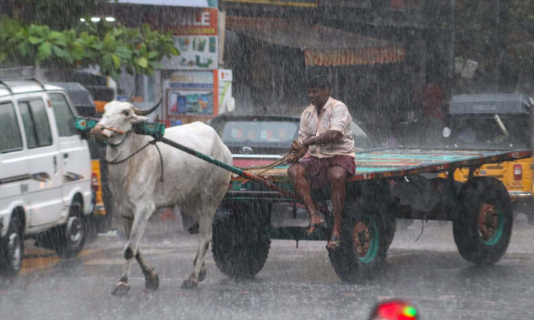 Tamil Nadu, Puducherry brace for heavy rains in next few days