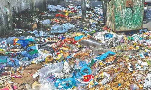 ROKA organises its 11th waste collection drive in Chennai