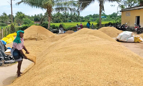 Farmers protest, claim delay at DPCs continues even after Ministers visit