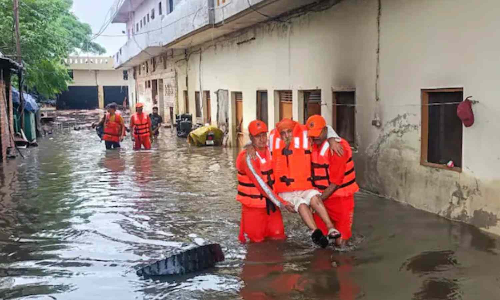 Punjab floods turn into real-time test lab for flood-resistant maize crops