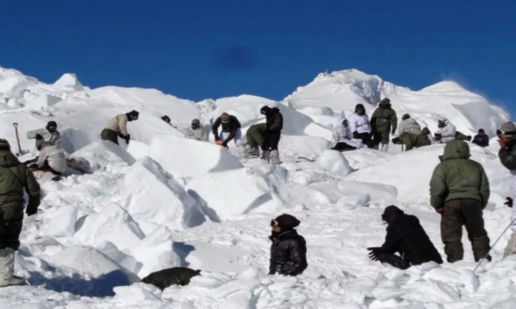 Avalanche strikes Siachen base camp in Ladakh; three soldiers killed Avalanche strikes Siachen base camp in Ladakh; three soldiers killed