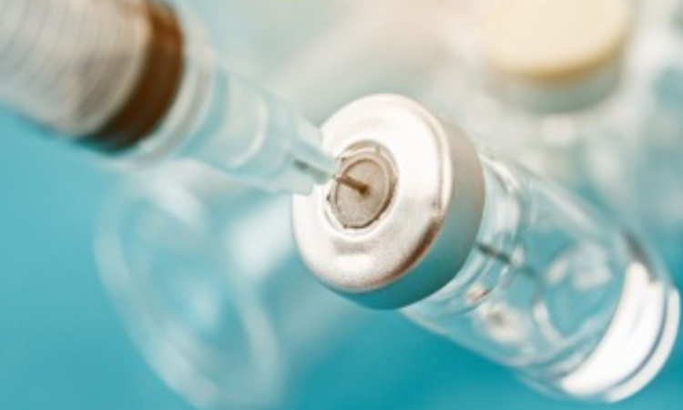 Australia approves world-first vaccine to save koalas from chlamydia Australia approves world-first vaccine to save koalas from chlamydia