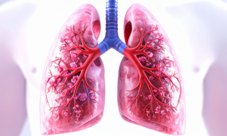 Antibody drug shows promise against lung cancer in first human trial