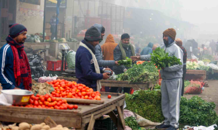 Check out vegetable prices at Chennais Koyambedu market on October 17 Check out vegetable prices at Chennais Koyambedu market on October 17