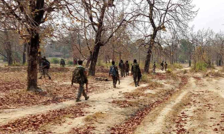 2 new security camps set up in remote areas of Naxal-hit Bijapur