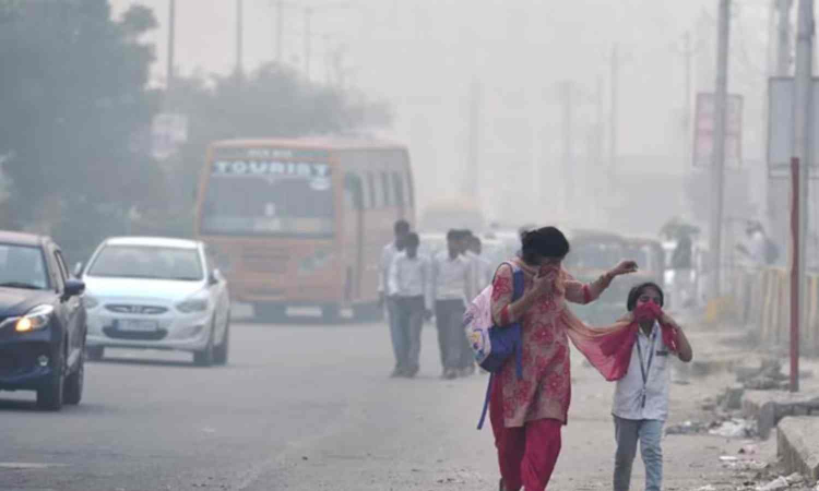 Indias emissions from ACs equal to that of cars now, set to double by 2035: Report