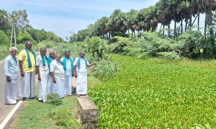 TN govt sanctions Rs 18 crore for removal of hyacinth in Delta canals
