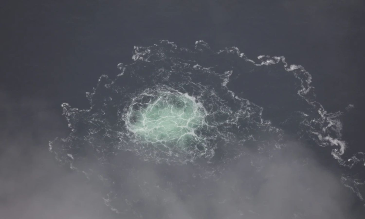 Italy approves extradition to Germany of Ukrainian suspect in North Stream pipeline explosions Italy approves extradition to Germany of Ukrainian suspect in North Stream pipeline explosions