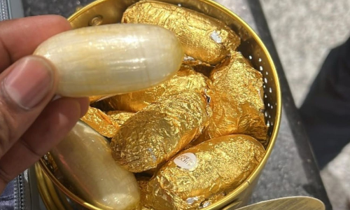 DRI seizes cocaine worth Rs 20 crore at Chennai airport, second major haul in September