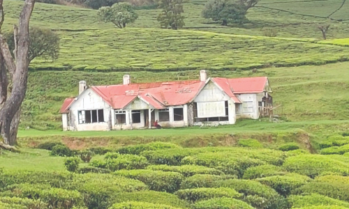 Tourism activities in Nilgiris private estates banned