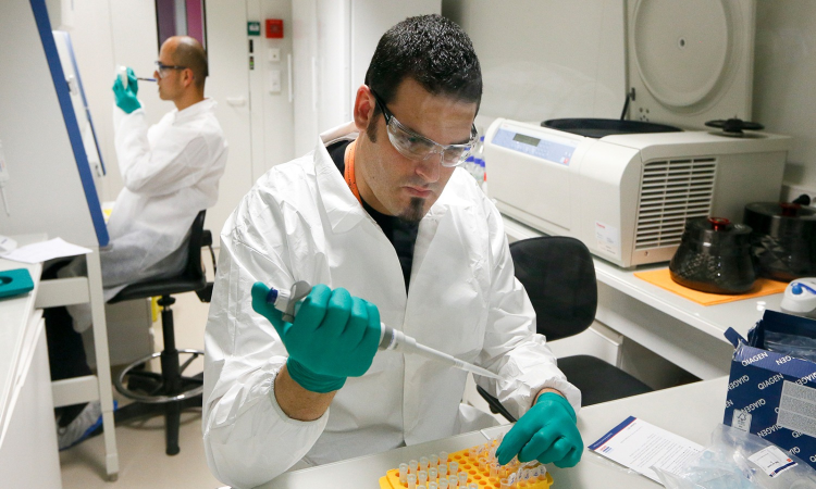 New drug could be first to stop deadly fatty liver disease: Study