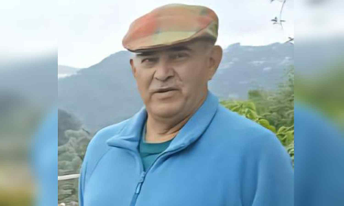 Tamil Nadu: 71-year-old man on evening walk killed in elephant attack in Gudalur