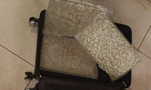 Air customs seize ganja worth Rs 12 crore at Chennai Airport, two flyers arrested