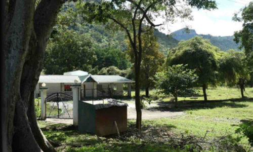 Crackdown on illegal homestays, cottages intensified in TNs Nilgiris