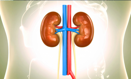 Young night shift workers more at risk of developing kidney stones: Study