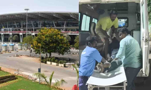 Bodies of 9 Assam workers killed in Ennore accident flown home