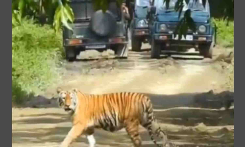 Cabinet nod for Rs 6,957 cr infrastructure project in Assam to boost eco-tourism, jobs: Minister