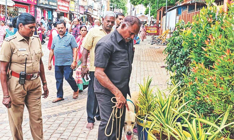 Works apace for Meenakshi temple consecration in Dec Works apace for Meenakshi temple consecration in Dec