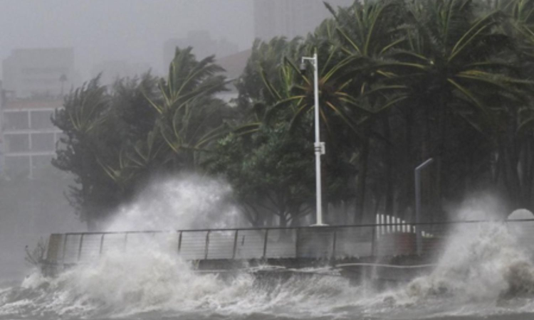 Typhoon Matmo makes landfall in Chinas Guangdong; thousands evacuated