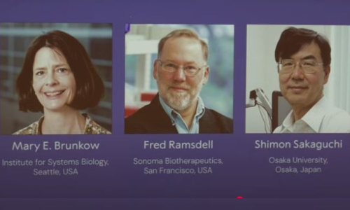 The Nobel Prize in medicine goes to 3 scientists for work on peripheral immune tolerance