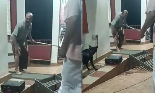 Street play on stray dog attacks turns real as Kerala artist bitten on stage