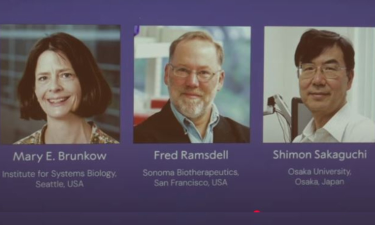 The Nobel Prize in medicine goes to 3 scientists for work on peripheral immune tolerance The Nobel Prize in medicine goes to 3 scientists for work on peripheral immune tolerance