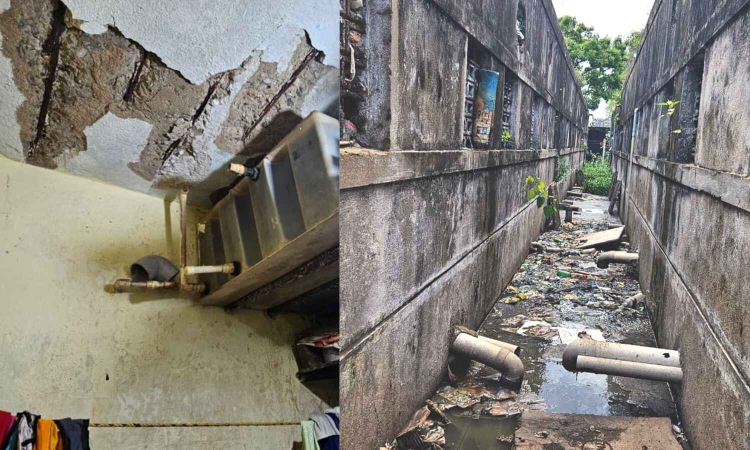 195 VAMBAY homes in Kotturpuram crumbling